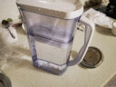 康佳（KONKA）净水壶 家用净水器 自来水过滤器 厨房滤水壶 便携净水杯 KLSH-2501B-E（一壶一芯） 晒单实拍图