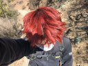BONYHAIR男士专用颜色染发剂膏植物2021流行色显白自己在家染 8/45海王红 +褪色膏 实拍图