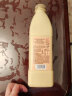 伊利帕瑞缇 褐色炭烧酸奶  风味发酵酸牛奶 1050g 实拍图
