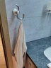 摩恩（MOEN） 卫生间置物架毛巾架挂件毛巾杆卫浴挂件瓷韵系列 ACC21 (全铜+陶瓷)双头衣钩 实拍图
