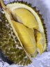马来西亚猫山王榴莲 新鲜水果液氮冷冻保鲜带壳榴莲D197整个 3.6斤-4.2斤（保四房肉 强烈推荐） 晒单实拍图