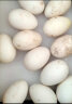 绿田逐 鹅蛋新鲜散养土鹅蛋生鲜12枚礼盒装 生鹅蛋孕妇宝宝食材 晒单实拍图