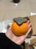 唐贝中秋节员工伴手礼盒生日礼物女男生商务公司新人入职团建小礼品 未来可期套装6（蓝牙音响） 实拍图