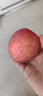 沙窝曙光（shawoshuguang）陕西洛川红富士苹果新鲜当季脆甜冰糖心时令丑苹果水果生鲜 带箱9.5斤中果（净重8.5-9斤） 晒单实拍图