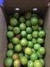 马保果三月李酸脆小李子青李子当季应季新鲜孕妇水果 精选5斤装 实拍图
