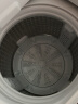 海尔（Haier) 波轮洗衣机全自动家电 以旧换新 8公斤 原厂品质 多重安全保障  租房神器EB80M009 实拍图