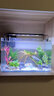 西游水族鱼缸水族箱客厅小型迷你桌面免换水生态造景小金鱼缸热弯超白玻璃 长35*宽20*高22-水秀青山款造景全套 实拍图