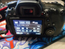 佳能Canon 5D4 6D2 5D3 5D2 6D 二手全画幅单反相机 专业级4K高清旅游数码相机 5D3（50mmF1.8 STM套机） 标配 99成新 晒单实拍图