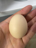 鹤农益得谷物蛋生鲜新鲜农家散养精品鸡蛋鲜鸡蛋 10枚 400g +谷物蛋 实拍图