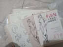 伯里曼人体结构教学描摹本【4册全套】 正版速写人物结构绘画练习教程教材 杨建飞主编 实拍图
