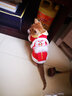 华元宠具（hoopet）猫咪衣服过年喜庆唐装猫猫冬季保暖衣小猫衣服新年拜年舞狮服装 恭喜发财舞狮唐装 XS：根据图片尺寸选择 实拍图