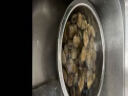 海蕴极鲜【活鲜】鲜活黄蚬子 新鲜丹东原产地捕捞蛤蜊烧烤食材 1500g （3斤） 实拍图