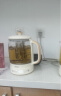 小质养生壶办公室家用大容量316不锈钢煮茶壶煮茶器烧水壶电热水壶恒温玻璃带滤网一体全自动1.5升L 晒单实拍图