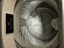 松下（Panasonic）波轮洗衣机全自动10公斤 节能省水智能洗 线屑收集 柔顺剂投放口 大容量桶洗净 XQB100-TSWTS 实拍图