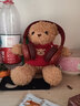 慕曦贝儿 泰迪熊小熊公仔玩偶布娃毛绒玩具小号送女友生日礼物圣诞情人节 红色兜帽卫衣熊 30 实拍图