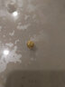 金小貅黄金转运珠999足金车花珠圆珠路路通吊坠项链挂坠手串DIY隔珠 1.1g,车花圆珠【多退少补】 实拍图