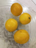 四川 安岳黄柠檬 新鲜水果 1斤 2-4粒 晒单实拍图