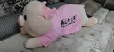 眼含泪光小猪猪玩偶毛绒玩具女孩布娃娃公仔儿童陪睡觉抱枕生日礼物女生友 可爱猪（开心每一天） 75cm 实拍图