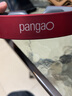 攀高（PANGAO）颈椎治疗仪按摩器理疗仪肩颈按摩仪脖子经络低频电脉冲针灸发热 PG-2601B10智能颈椎按摩（便携一体） 实拍图