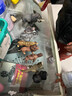 COLLECTA英国CollectA我你他仿真野生动物合集模型玩具认知 88899大猩猩 实拍图