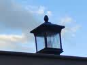 圣德艺太阳能柱头灯户外防水新中式庭院门柱灯室外家用别墅大门围墙灯 小号灯体总高40cm-空框+10瓦 太阳能款可接电 实拍图