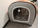 KimPets狗窝大型犬冬季保暖狗狗床可拆洗冬季猫窝封闭式狗屋冬天宠物用品 橙灰拼接色+加厚毛毯 3XL号【100*70*60cm适合75斤内】 实拍图