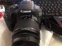 佳能（canon）EOS 2000D  家用入门单反数码相机 高清照相机 2000D+18-55 II防抖镜头 官方标配【香港仓发货】 实拍图