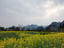 川好子（chuanhaozi） 原味蚕豆无油无沙干炒胡豆兰花豆儿时回忆解馋零食小吃休闲食品 【共3斤】2斤炒豌豆+1斤炒胡豆 实拍图