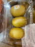 佳沛（zespri）新西兰阳光金奇异果10粒礼盒巨大果单果约146-175g水果猕猴桃 实拍图