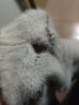 南极人毛衣男士装秋冬季衫线非羊加厚毛衫保暖打底针织衫衣服 10909/8197咖啡 L 实拍图