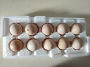 葛溪正太年货鲜鸡蛋 无激无抗 早餐 营养鸡蛋  农场直供20枚/45-50g/枚 实拍图
