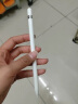 Apple Pencil (第一代) 含USB-C转换器 适用iPad mini5/iPad Air3/iPad 10.2英寸(第九/十代) 实拍图