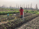 名磊 充电水泵充电式抽水泵农用便携式浇菜地吸水机家用12V抽水机 双核高压泵180DH20米管 实拍图