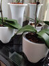 美莳养蝴蝶兰专用花盆塑料透气控根网杯君子兰文心兰石斛双层套盆 1套口径20cm 双层白色盆+托盘 实拍图