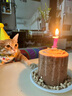 布丁喵喵 宠物生日围兜生日帽 黄色【赠贴纸生日蜡烛】拍照装饰生日派对 实拍图