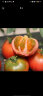 密农人家 现摘水果番茄 西红柿自然熟 生吃脆甜汁多西红柿 新鲜蔬菜1.5kg 晒单实拍图