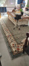 绅士狗客厅地毯加厚高密度简约卧室床边毯欧美式奶油风高档沙发茶几毯 蓝绿色 2.4*3.4米 高密度600v重约32.4斤 实拍图