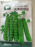 北蔬 豌豆种子种苗大荚甜脆青豆蔬菜种籽 长寿甜豌豆种子50g约190粒 实拍图