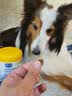 中鲨宠物胶原蛋白卵磷脂猫犬通用美毛养护毛发护肤狗狗猫咪保健营养品 胶原蛋白卵磷脂 280G1罐 实拍图