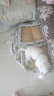 licheers猫狗窝凉席小型犬宠物猫咪睡垫夏季床垫泰迪中大型犬狗垫子 M号 晒单实拍图