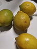 晨木鲜生四川黄柠檬 新鲜大果黄柠檬 水果 精选4枚装（60-100g) 实拍图