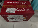 百威（BUDWEISER）经典醇正  精酿啤酒   啤酒整箱 330mL 24瓶 晒单实拍图