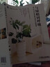 与绿植同呼吸：超人气观叶植物新手养护不败指南 实拍图