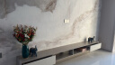 贝汉美（BHM）欧式创意大象客厅摆件工艺品 电视柜酒柜玄关家居装饰品 大象（一对） 晒单实拍图