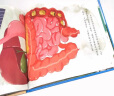 身体认知与健康养成绘本：吃饭—食物宝宝去旅行（精装） 实拍图