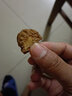 蓉立方高含量肉苁蓉鲜干片500g 内蒙古阿拉善中药材油苁蓉切片泡茶泡酒料 肉苁蓉鲜干片100g 实拍图
