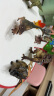 玛奇乐（MECHILE）仿真恐龙动物模型玩具套装霸王龙腕龙三角龙剑龙六一儿童节礼物 恐龙12件套装(送收纳椅) 晒单实拍图