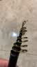 哈斯达（HISTAR）凌云矶钓竿鱼竿滑漂竿路滑碳素超硬超轻手海两用矶竿全套大导环杆 3.6m 3号 +K3000纺车轮套装 实拍图