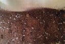 美乐棵 通用型营养土8L/袋园艺种植基质土花土肥料盆栽绿植复合基质土 实拍图