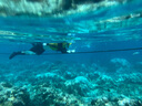 WATERTIME/水川 潜水镜浮潜三宝套装全干式呼吸管器近视游泳潜水面罩500度 实拍图